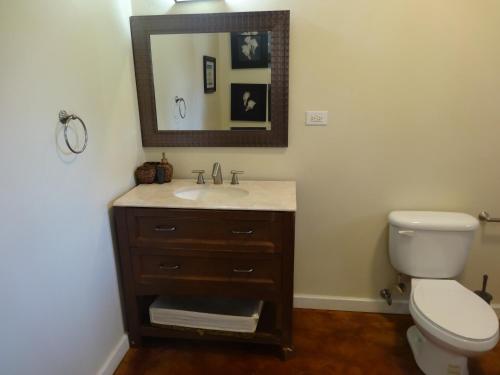 a bathroom with a toilet and a sink and a mirror at Blue Paloma Bed & Breakfast in Lucea