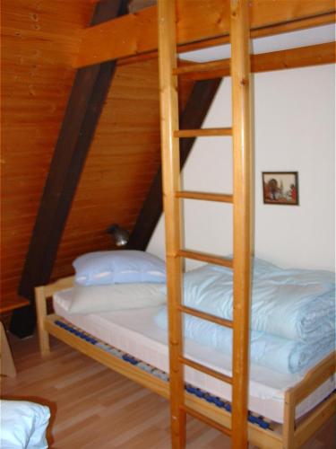 a bunk bed in a room with a ladder at Type Winnetou in Ronshausen