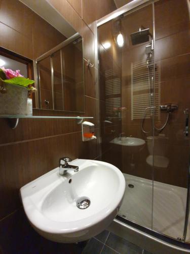 y baño con lavabo y ducha. en Pensjonat Leśniczówka en Słubice