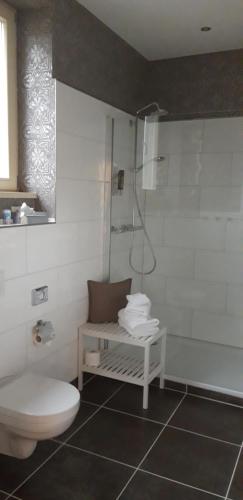 a white bathroom with a toilet and a shower at Schlossgut Gorow in Satow