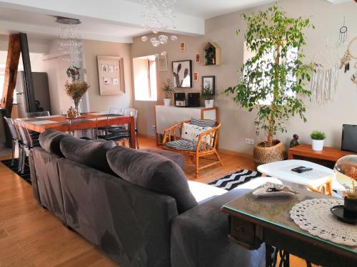 un salon avec un canapé et une table dans l'établissement Au Grenier de La Grenouille, à Colmar