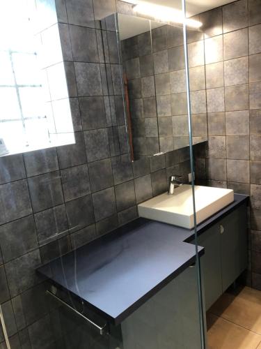 ein Bad mit einem Waschbecken und einem Spiegel in der Unterkunft Blaise 3 pièces in Saint-Étienne-de-Tinée