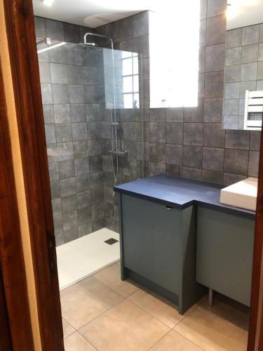 La salle de bains est pourvue d'une douche avec un comptoir bleu. dans l'établissement Blaise 3 pièces, à Saint-Étienne-de-Tinée