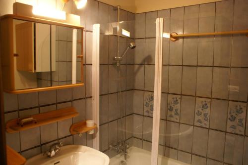モルジヌにあるchamps de la Plagneのバスルーム(シャワー、トイレ、シンク付)