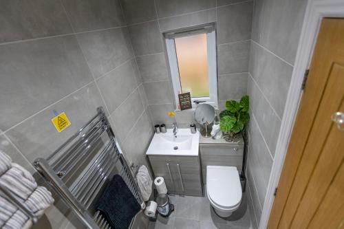 a bathroom with a toilet and a sink and a mirror at Settlers Lodge in Otterburn