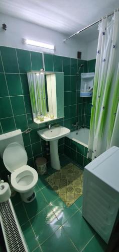 a green tiled bathroom with a toilet and a sink at Garsoniera Horezu in Horezu