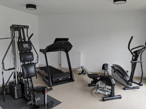 a gym with several exercise equipment in a room at Les Terrasses sur Seine in Vernon