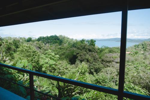 a view of a forest from a window at Drake Bay Greenleaf in Drake