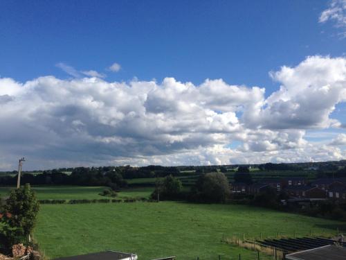 a large green field with a cloudy sky at Hotel-Restaurant Zum Onkel Jonathan in Raeren