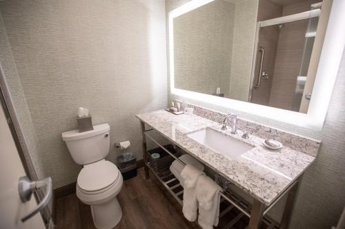 a bathroom with a toilet and a sink and a mirror at Turf Valley Resort in Turf Valley