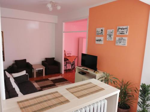 a living room with a couch and a tv at Apartman DUNJA in Vranje