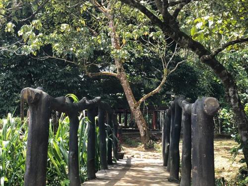 a wooden fence in a park with trees at 360 Rainforest in Deniyaya