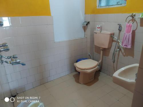 a bathroom with a toilet and a sink at Blue Horizon Homestay in Darjeeling