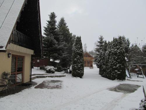 a yard covered in snow with trees and a building at Domki u Basi in Kluszkowce