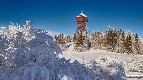 a red tower covered in snow next to trees at Domki u Basi in Kluszkowce