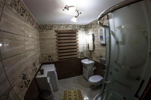 a small bathroom with a toilet and a shower at Chatka Pod Laskiem - Domki w górach in Soblówka