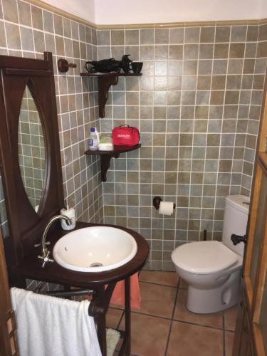 een badkamer met een wastafel en een toilet bij La Zamora in Guarazoca