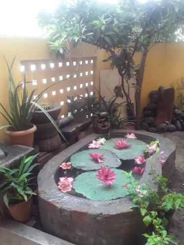 Κήπος έξω από το ELISA HOME STAY VILLA