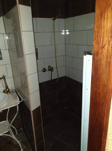 a bathroom with a shower and a sink at Apartma Miša, Tomo Ketiš sp in Prevalje