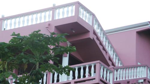 a pink house with a staircase in front at Top Ranking Hill View Guesthouse in Speyside