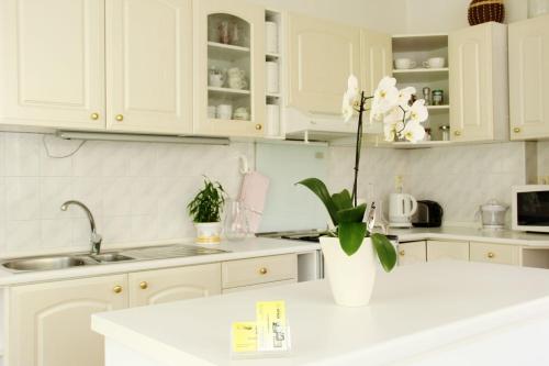 a kitchen with white cabinets and a vase with flowers on a counter at Villa Venus in Prague