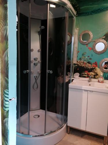 a bathroom with a shower and a sink at Santos in Kappel-Grafenhausen