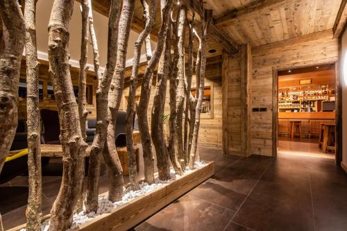 Gallery image of Monaco Sport Hotel in Santo Stefano di Cadore