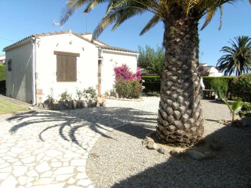 LES PALMERES 28
