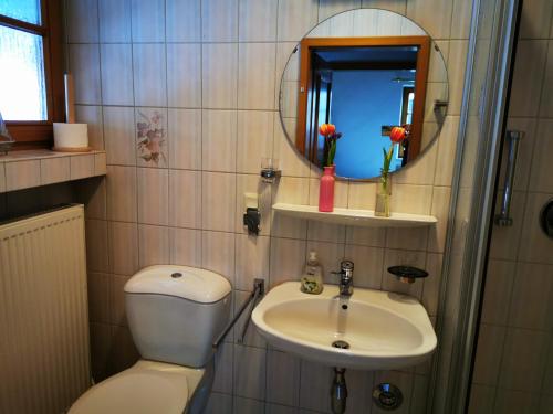 uma casa de banho com um WC, um lavatório e um espelho. em Heidi's Home em Garmisch-Partenkirchen