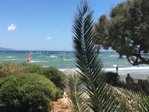 Fotografia z galérie ubytovania Windsurfing seaside apartment Artemida v destinácii Artemida