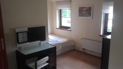 a small bedroom with a bed and a television at Willa Silesia in Wisła