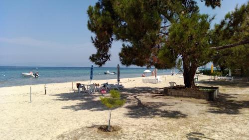 a beach with a tree and people on the water at For Nature Lovers 2 in Skala Rachoniou