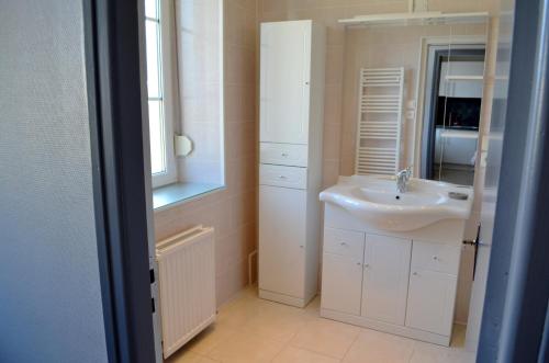 een badkamer met een wastafel en een spiegel bij Le Gîte des Sureaux in Rarécourt
