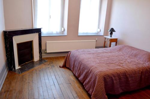 a bedroom with a fireplace and a bed in it at Le Gîte des Sureaux in Rarécourt