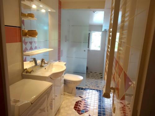 Saint-Paul-le-JeuneにあるGites les Eaux Clairesの洗面台、トイレ、シャワー付きのバスルーム