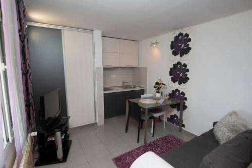 Kuchyň nebo kuchyňský kout v ubytování Apartment Žiži