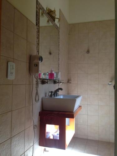 a bathroom with a sink and a mirror at Los Abetos B&B 2 in El Bolsón