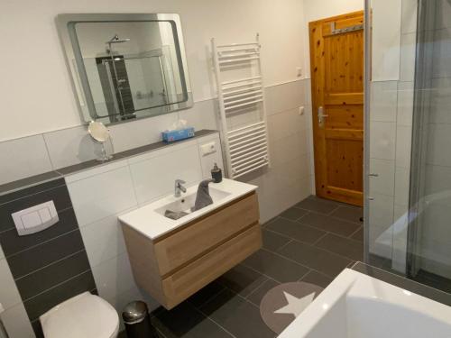 uma casa de banho com um lavatório, um WC e um espelho. em Fewo Barth em Barth