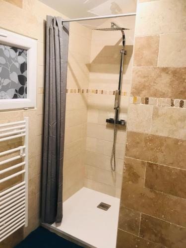 La salle de bains est pourvue d'une douche avec rideau de douche. dans l'établissement Le petit nid de chessy, à Chessy