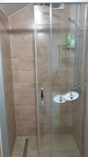 a shower with a glass door with two sinks in it at Guest House Boska in Pančevo