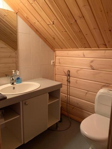 een badkamer met een wastafel en een toilet bij Lomakivi in Kausala