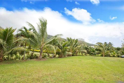 a lawn with palm trees and a mountain in the background at Muri Homeland Villa in Rarotonga