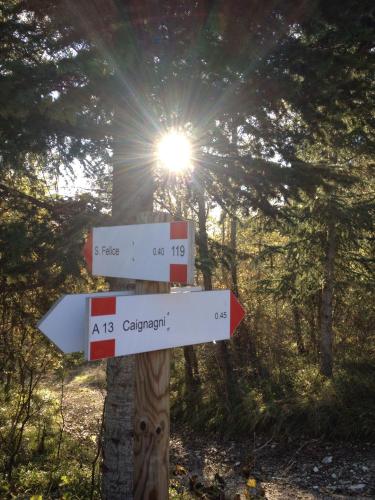 a sign in the woods with the sun in the background at Agriturismo Cailuca in Pietralunga