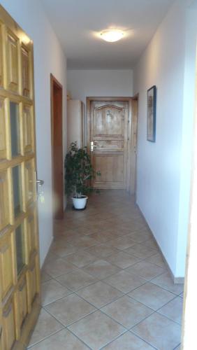 a hallway with a door and a potted plant at Guest house Živković in Sveti Stefan