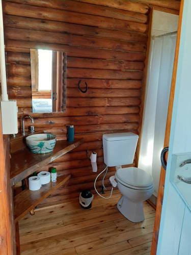 a bathroom with a toilet and a sink at Cabaña Rural El Encuentro in San Antonio de Areco