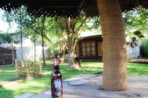 a bottle of beer sitting on a table next to a tree at Green Cottage in Anuradhapura