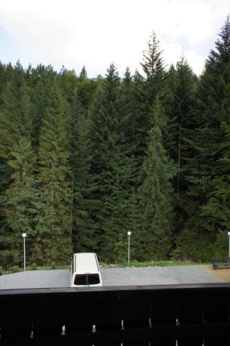 a white truck parked on a road in front of trees at Gronik in Szczyrk