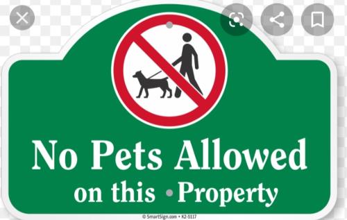 a green sign with a no pets allowed on this property at Newport City Condo near Manila Airport Terminal 3 in Manila