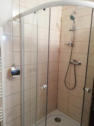a shower with a glass door in a bathroom at Pensiune Stirbu in Borsa