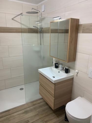 a bathroom with a toilet and a sink and a shower at Ferienwohnungen zum Briefmarkenhaus in Mörbisch am See